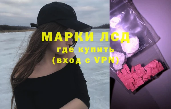 дмт Богданович