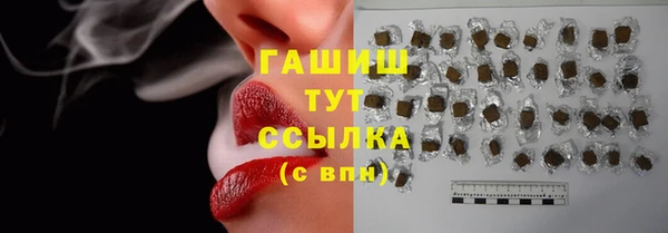 дмт Богданович