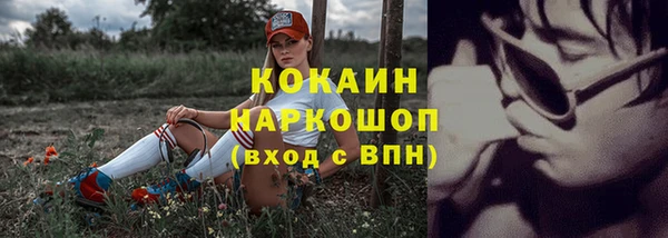 дмт Богданович