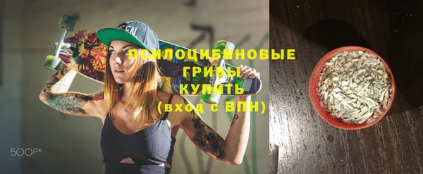 дмт Богданович